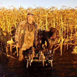 Meet your Posher, Jeff